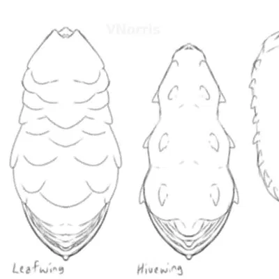 wings of fire created by puppetmaster13uwu