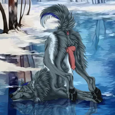 zain (zainwulf) created by msdeadsoul