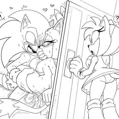 amy rose, blaze the cat, sonic the hedgehog (sega, sonic the hedgehog (series)) created by shenadical