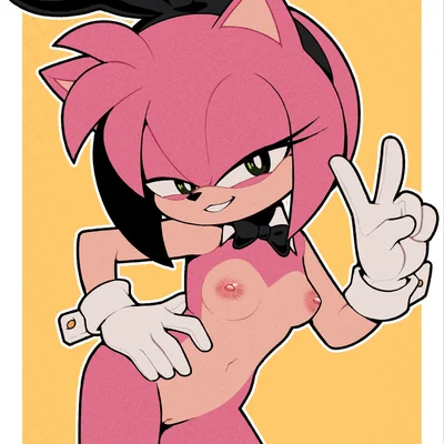 amy rose (sega, sonic the hedgehog (series)) created by gaturo