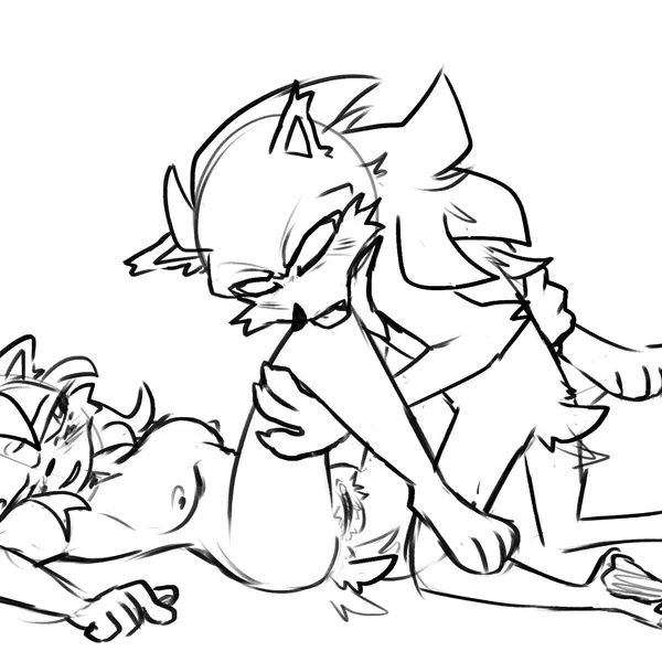 amy rose, shadow the hedgehog (sega, sonic the hedgehog (series)) created by forsakennsfw