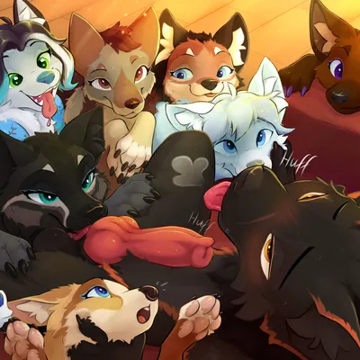 anouk blamore, brielle (wolffylegend), ester (royalfang) created by skyvo