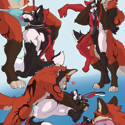 archy fox, dwoolf created by jayraccoonart