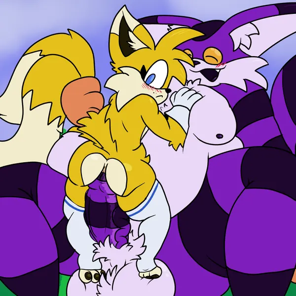 big the cat, miles prower (sega, sonic the hedgehog (series)) created by chibitay