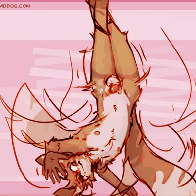 cantio (lawyerdog) created by lawyerdog