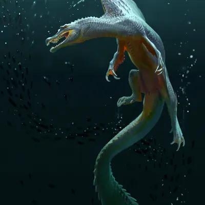 created by jaemin kim