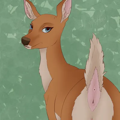 created by squiggleflop