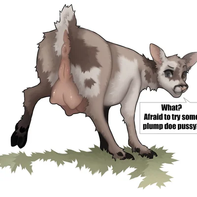 created by trailofanimals