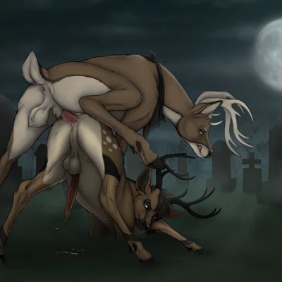 ferael created by fenn.perrox