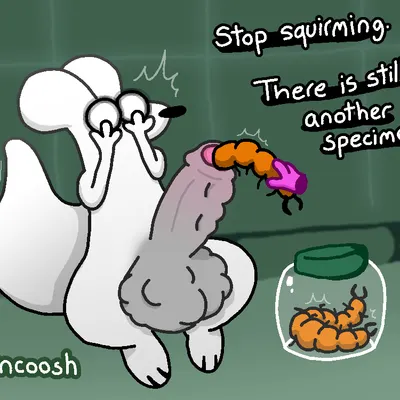 five pebbles (rain world), survivor (rain world) (rain world, videocult) created by pincoosh