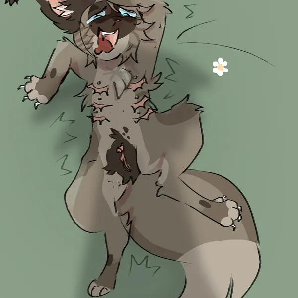 hawkfrost (warriors) (warriors (book series)) created by tempestpaw