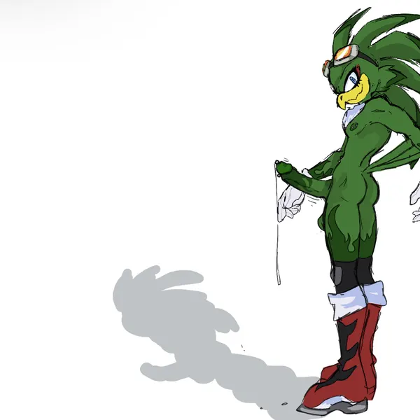 jet the hawk (sega, sonic riders) created by heehoohaa
