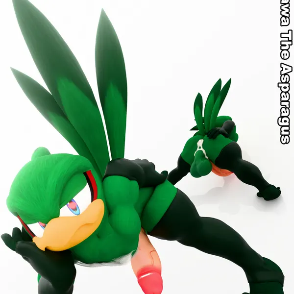 jet the hawk (sega, sonic riders) created by kawa the asparagus