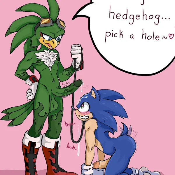 jet the hawk, sonic the hedgehog (sega, sonic riders) created by heehoohaa