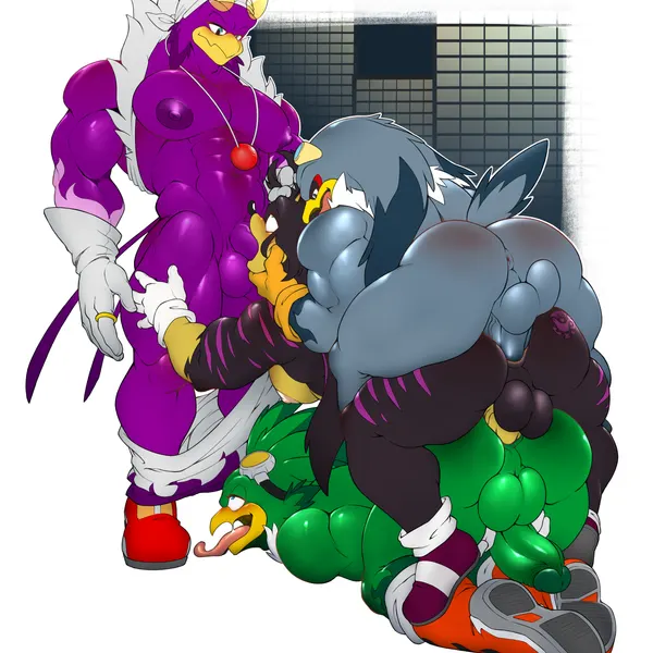 jet the hawk, storm the albatross, thomas wolfon (sega, sonic riders) created by tailverknk