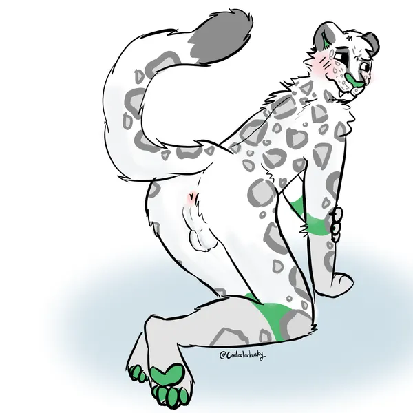 karno (coalcolorhusky) created by coalcolorhusky