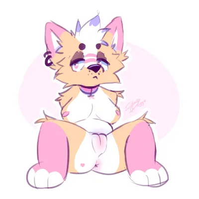 korgs created by charliedoggo