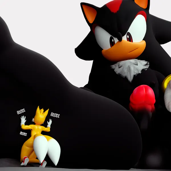 miles prower, shadow the hedgehog (sega, sonic the hedgehog (series)) created by keynor