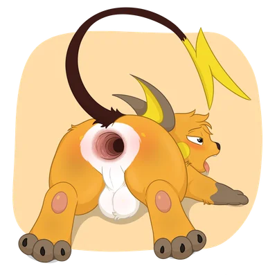 nintendo, pokemon created by whyvern