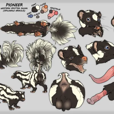 pioneer (pioneer-mephitis) created by technesaurus