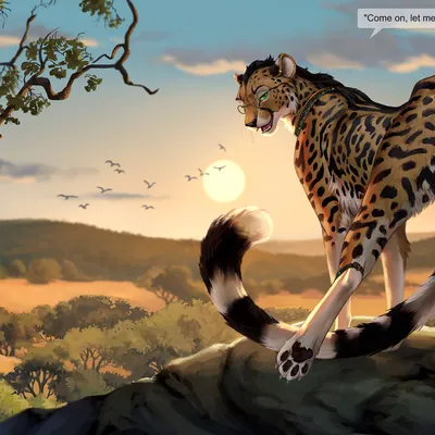 roidhcheetah created by reallynxgirl