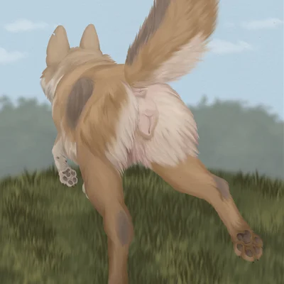 that one german shepherd with the distinctive darker fur patch on her side created by paper-wings