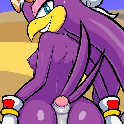 wave the swallow (sega, sonic riders) created by blackmore