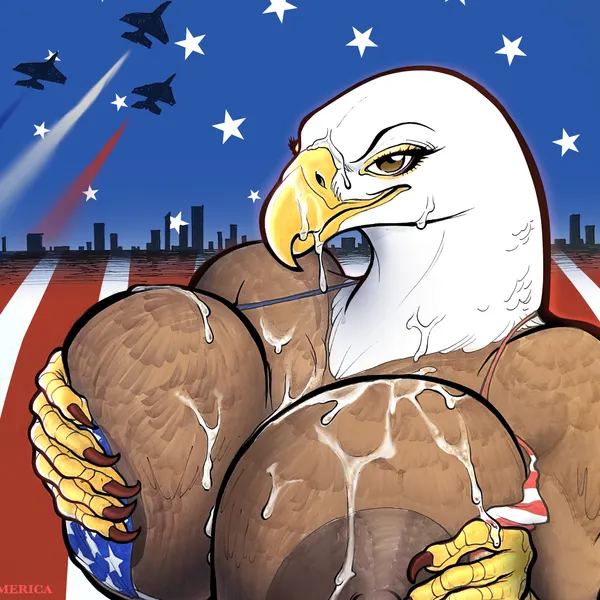 4th of july, u.s. air force created by ponie666