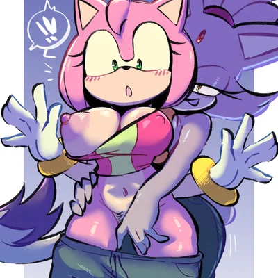 amy rose, blaze the cat (sega, sonic the hedgehog (series)) created by edalv