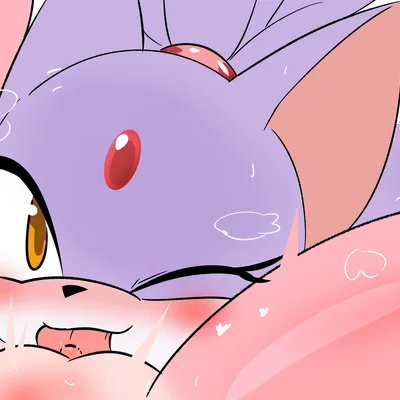 amy rose, blaze the cat (sega, sonic the hedgehog (series)) created by lawgx