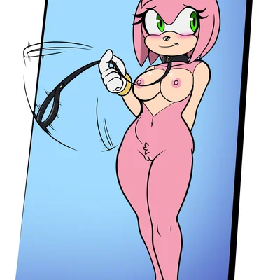 amy rose (sega, sonic the hedgehog (series)) created by fourssss