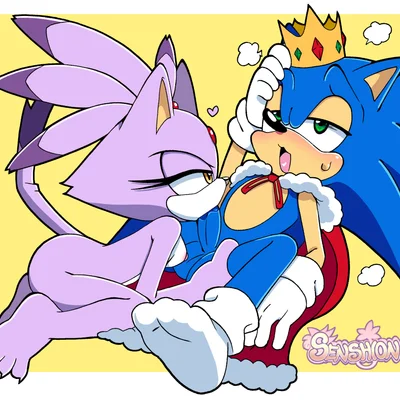 blaze the cat, king sonic, sonic the hedgehog (sega, sonic the hedgehog (series)) created by senshion