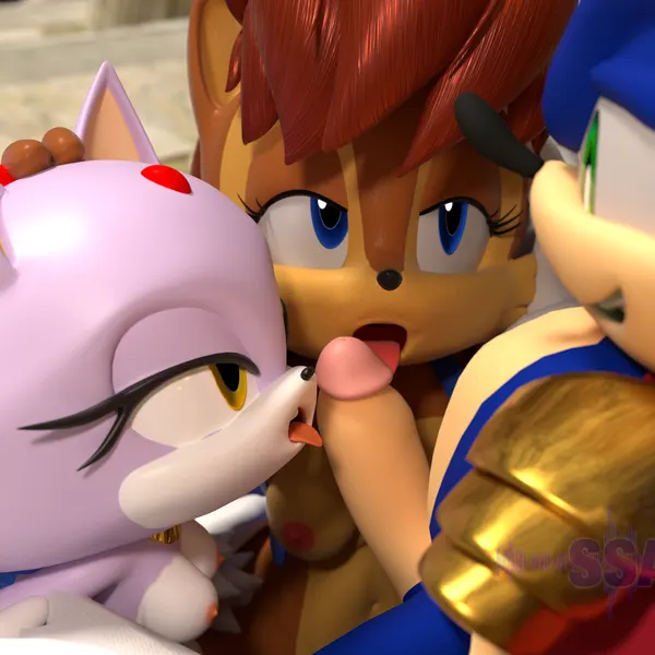 blaze the cat, sally acorn, sonic the hedgehog (archie comics, sega) created by ssawnds