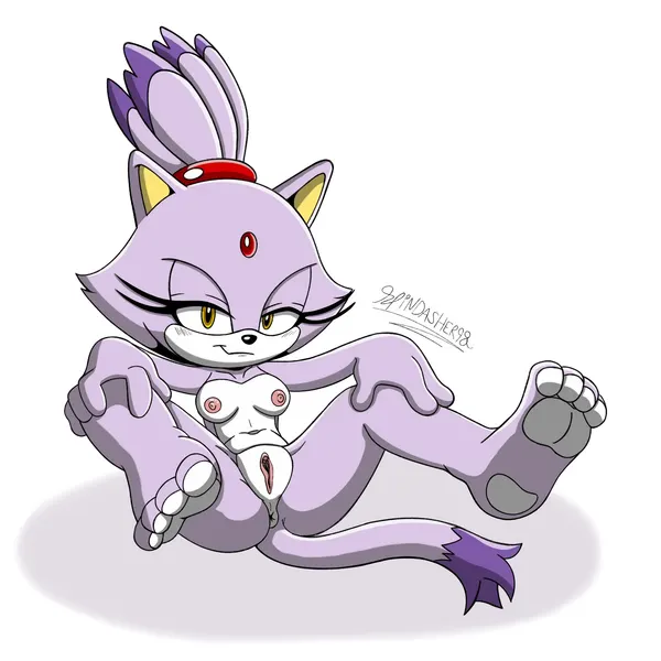 blaze the cat (sega, sonic the hedgehog (series)) created by spindasher98