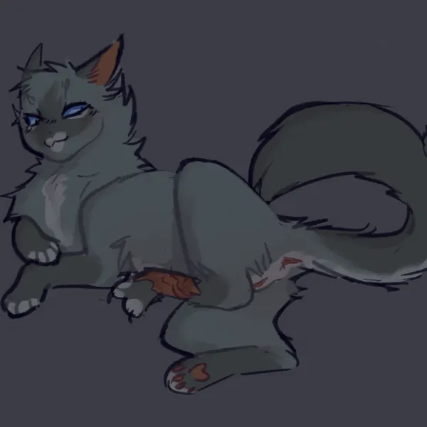 cinderpelt (warriors) (warriors (book series)) created by gullswoop