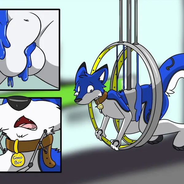 coltthefurry created by fox0808