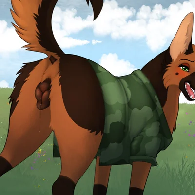 created by nauticalcanine