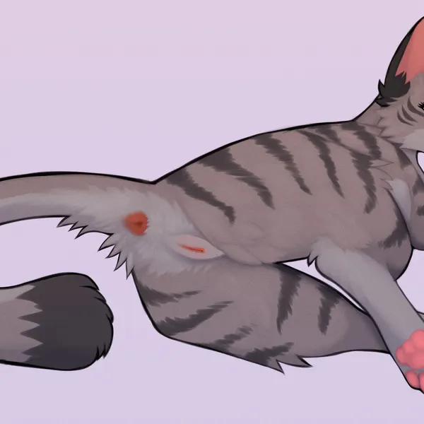 created by nauticalcanine