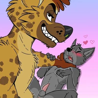 created by nikraccoom