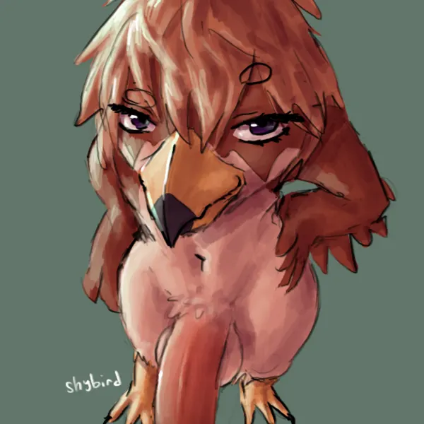 created by shybird