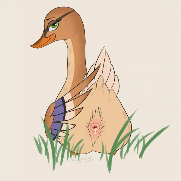 created by squiggleflop
