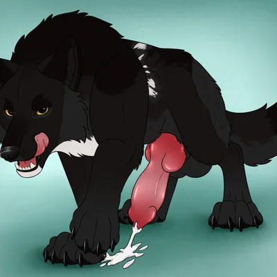 echo (wolffylegend) created by killthe demon