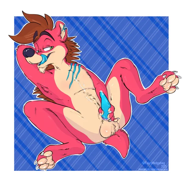 falcy hedgehog created by coolskeltal95