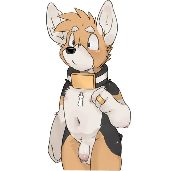 king (housepets!) (housepets!) created by taro bubbletea