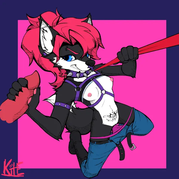 kite (kite512) created by kite512