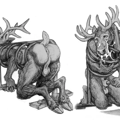 mo (momamo) created by momamo