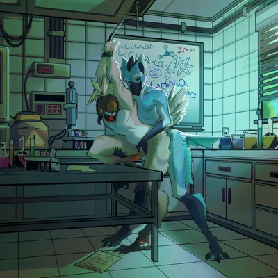 naphy created by vrobei, vyvs