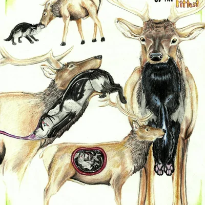 nintendo, pokemon created by alekthebeasty