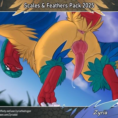 nintendo, pokemon created by zyria