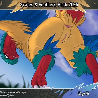 nintendo, pokemon created by zyria